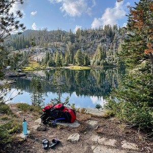 Meet your Posher, Alisha